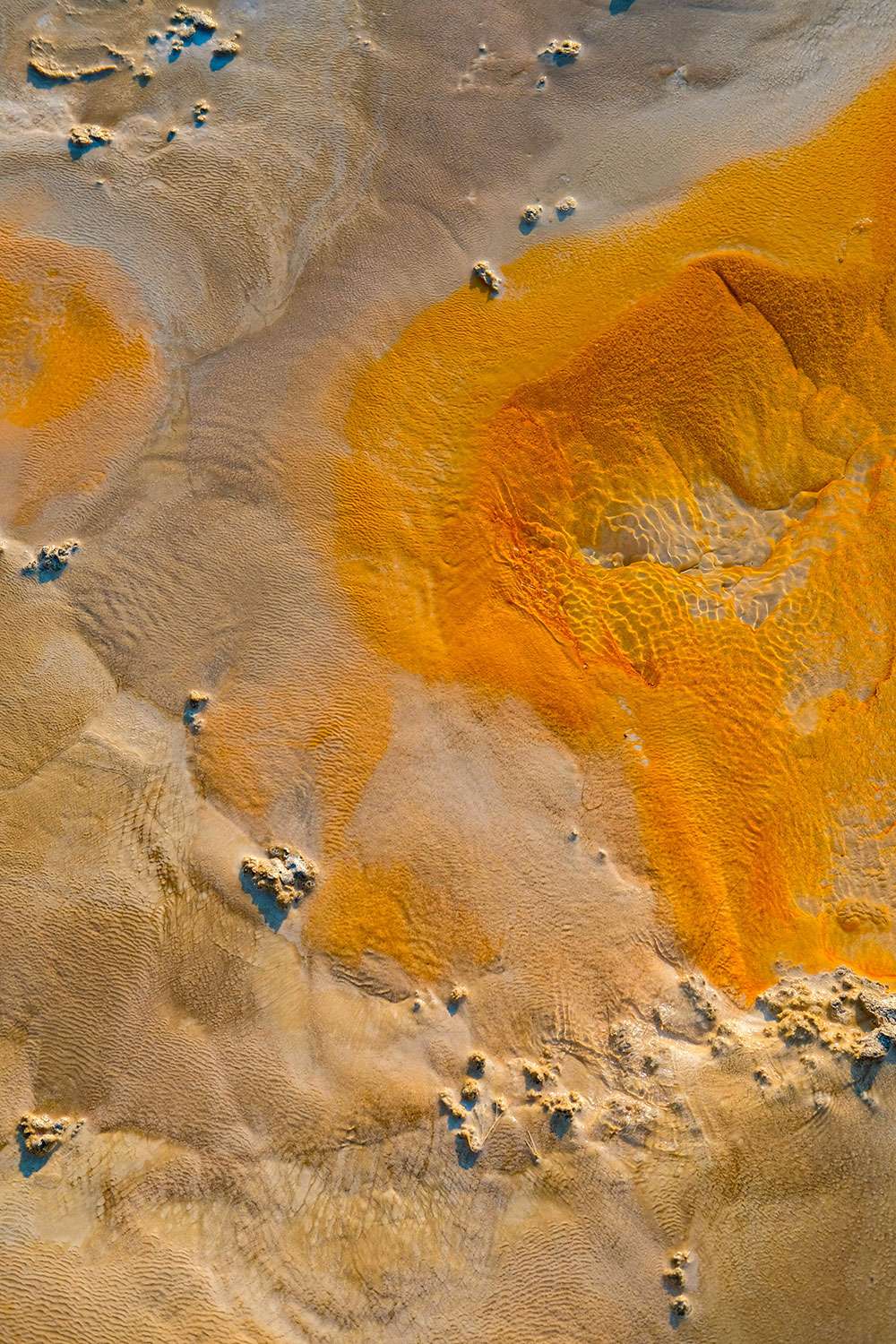 Come un muro, noi e l Universo